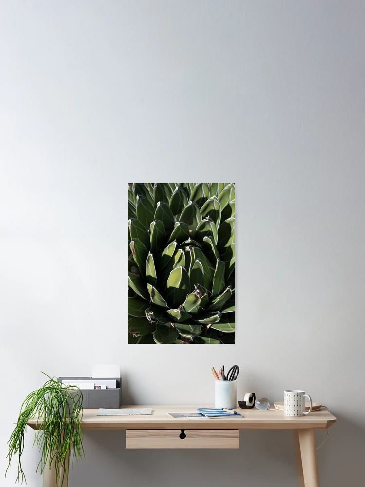 Thumbnail 2 of 3, Poster, designed and sold by Magda Labuda.