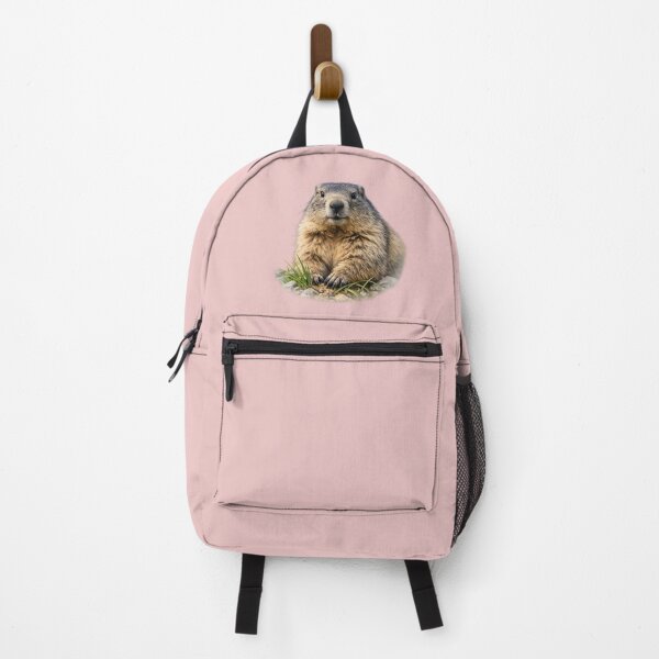 Item preview, Marmotta designed and sold by Sestriere.