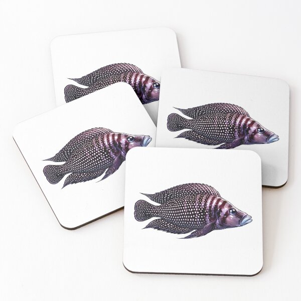 Item preview, Calvus Cichlid (Altolamprologus calvus) designed and sold by My-Thing.