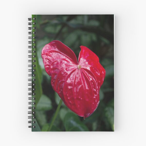 Item preview, Red Heart designed and sold by Magda Labuda.