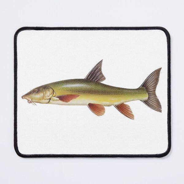 Item preview, Barbel designed and sold by Fire TheMann.