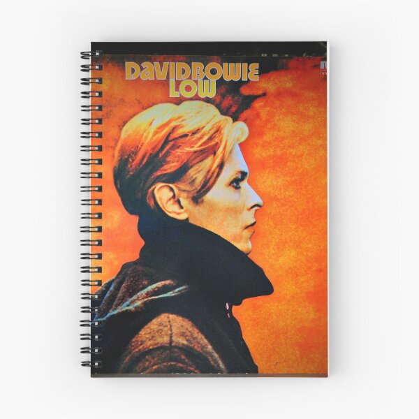 Item preview, David Bowie Low LP Album Cover Photograph designed and sold by AndyEvansPhotos.
