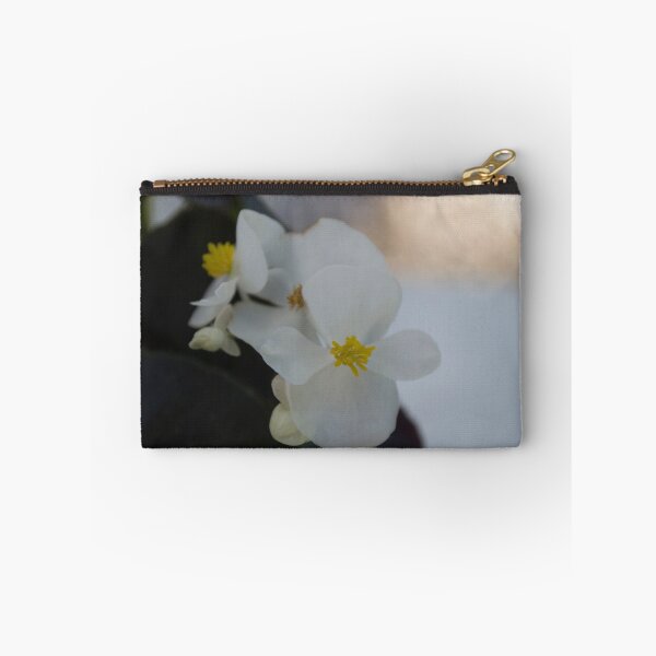 Item preview.