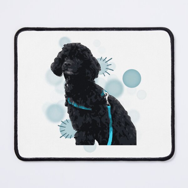 Item preview, Cute Black Poodle with Blue Harness - Realistic Illustration designed and sold by iamKRUK.