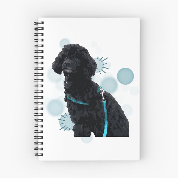 Item preview, Cute Black Poodle with Blue Harness - Realistic Illustration designed and sold by iamKRUK.