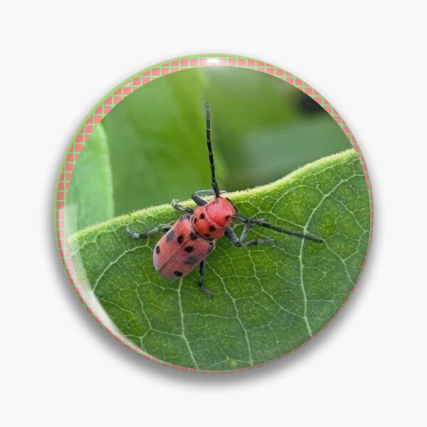 Item preview, Red Milkweed Beetle Photo designed and sold by CJ-Nature-Art.
