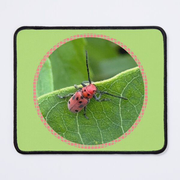 Item preview, Red Milkweed Beetle Photo designed and sold by CJ-Nature-Art.