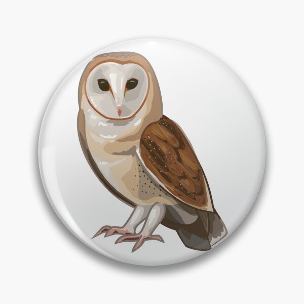 Item preview, Sitting Barn Owl designed and sold by Robinn-art.