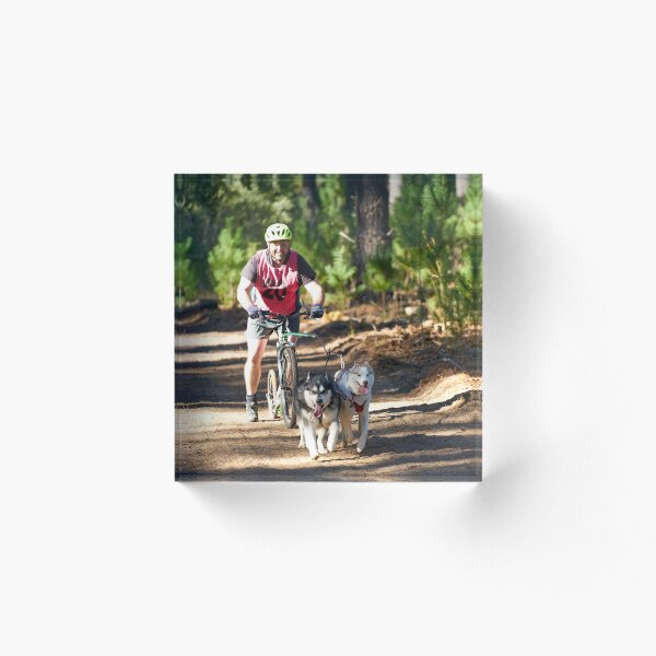 Artikelvorschau, South Australian Schlittenhundeklub entworfen und verkauft von MPHPRODUCTIONS.