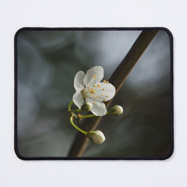 Item preview, Whisper of Spring Blossom designed and sold by JSFrame.