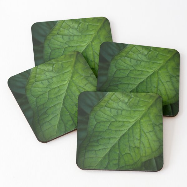 Item preview, Emerald Veins – Lush Green Leaf Macro,Vintage lens designed and sold by JSFrame.
