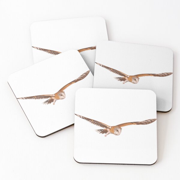 Item preview, Flying Barn Owl designed and sold by Robinn-art.