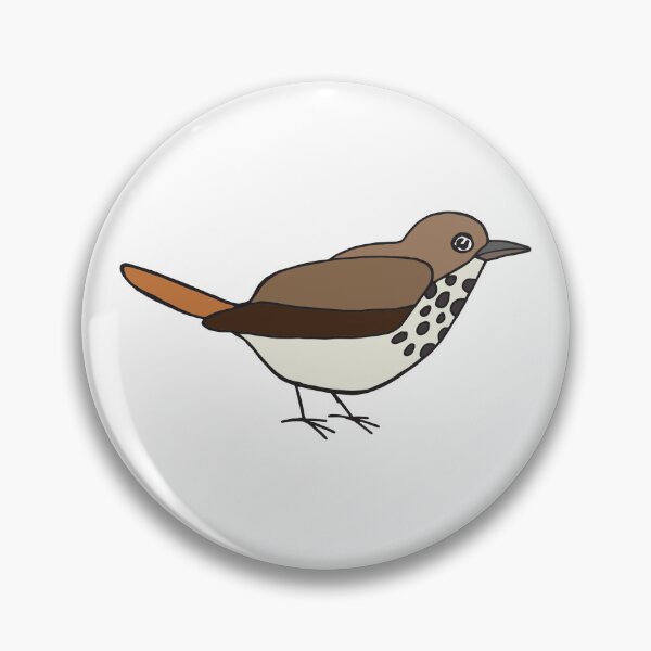 Item preview, Hermit Thrush designed and sold by ODruryStudios.
