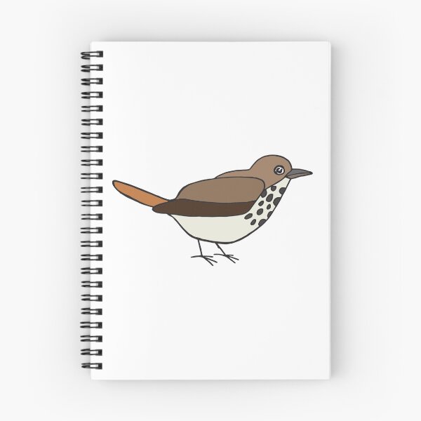 Item preview, Hermit Thrush designed and sold by ODruryStudios.