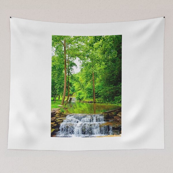 Item preview, Dogwood Canyon Waterway, Lampe, Missouri designed and sold by AMacGPhilly.