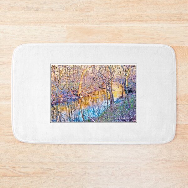 Item preview, Spring, Pennypack Creek, Montgomery County, Pennsylvania, Digital Illustration designed and sold by AMacGPhilly.