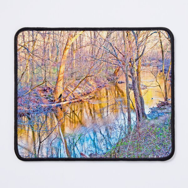 Item preview, Spring, Pennypack Creek, Montgomery County, Pennsylvania, Digital Illustration designed and sold by AMacGPhilly.