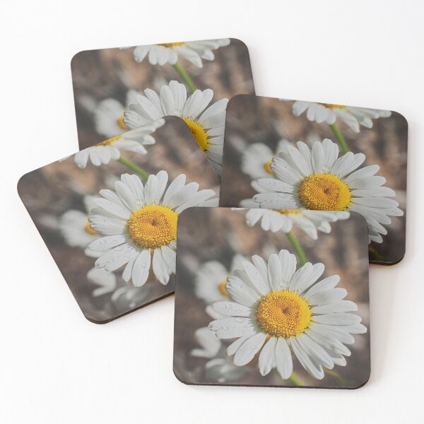 Item preview, Daisy duo designed and sold by Production Art Manon Meilleur.