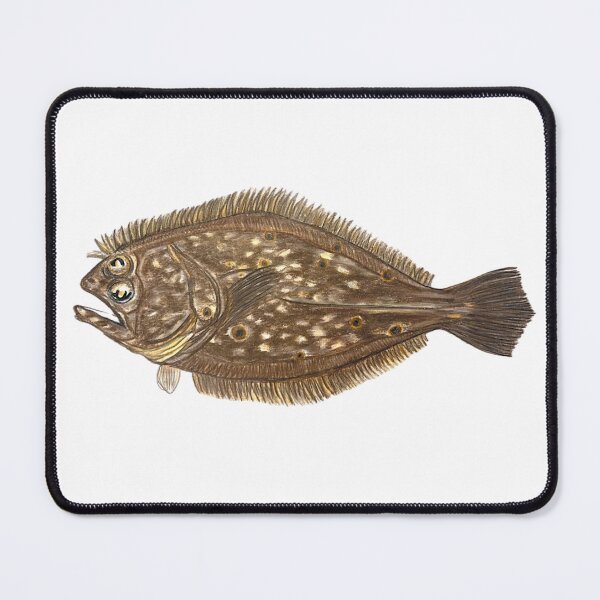 Item preview, Summer Flounder Fluke Fisherman Gift Fishing Hand-Drawn Art designed and sold by fishladydesigns.