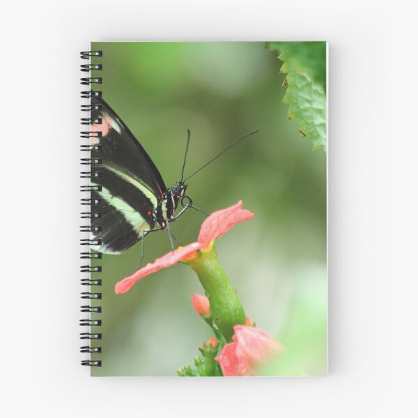 Item preview, Up where we belong designed and sold by Olivia Plasencia.
