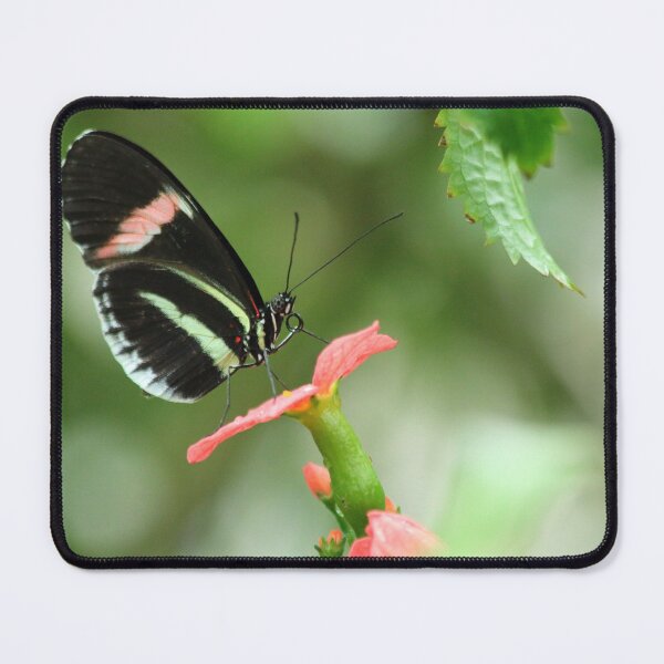 Item preview, Up where we belong designed and sold by Olivia Plasencia.