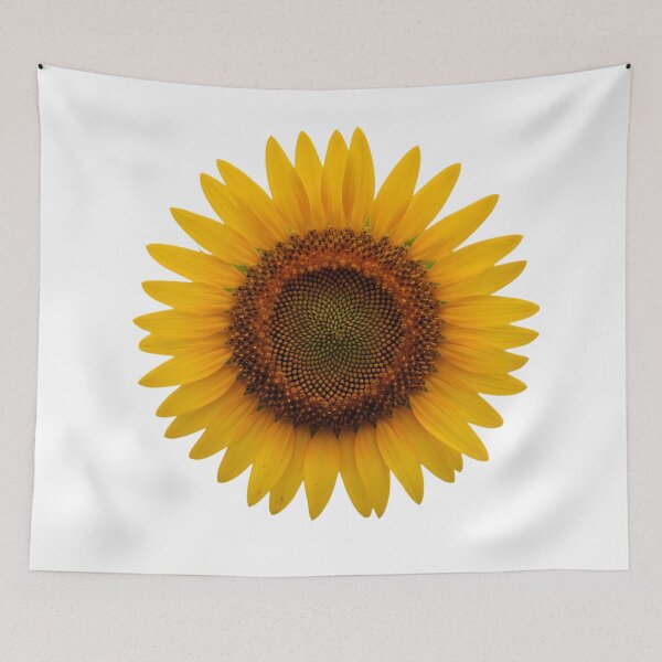 Item preview, Perfect Isolated Sunflower Head - Top-Down View designed and sold by VibranPalette.