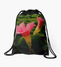 Pretty in Pink Drawstring Bag