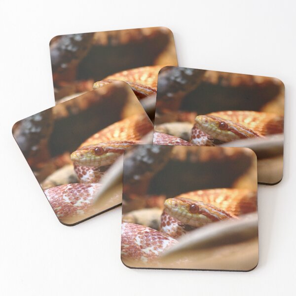 Item preview, Hissssssss designed and sold by Olivia Plasencia.