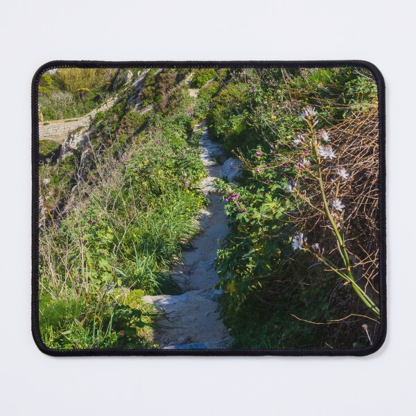 Item preview, Narrow Rocky Path Along Green Hillside With Wildflowers and Old Stone Bridge in Sunlight designed and sold by Nmallia.