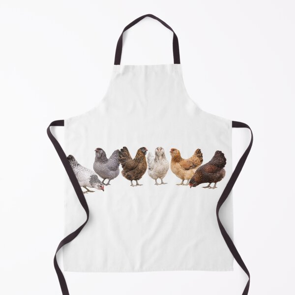 Item preview, Ameraucana/Easter Egger designed and sold by Willow Ridge.