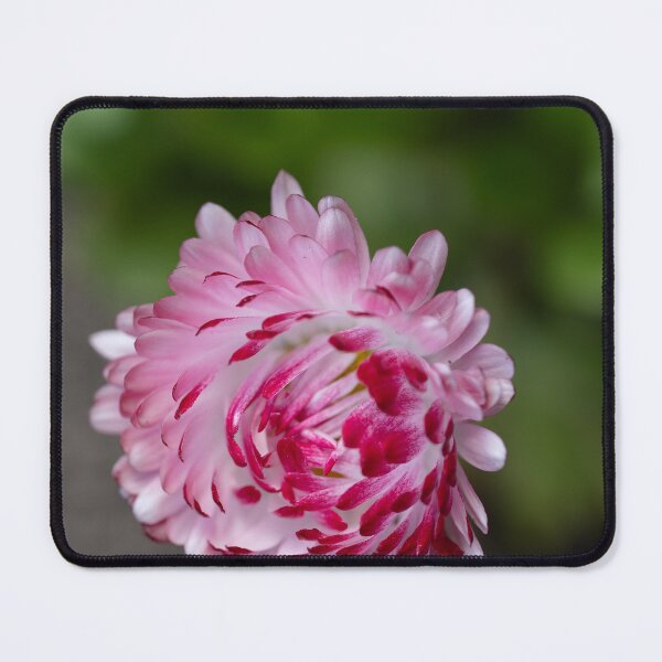 Item preview, Color Explosion designed and sold by pixrit.