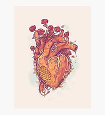 Sweet Heart Photographic Print