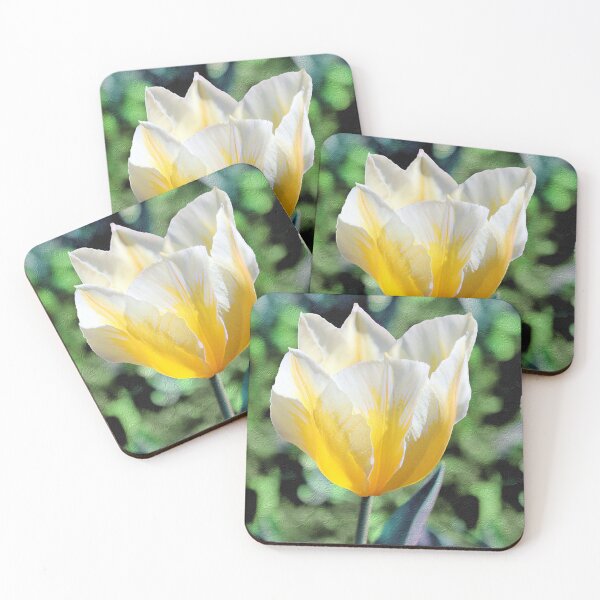 Item preview, Yellow / White Tulip Trio designed and sold by BostonArcImage.
