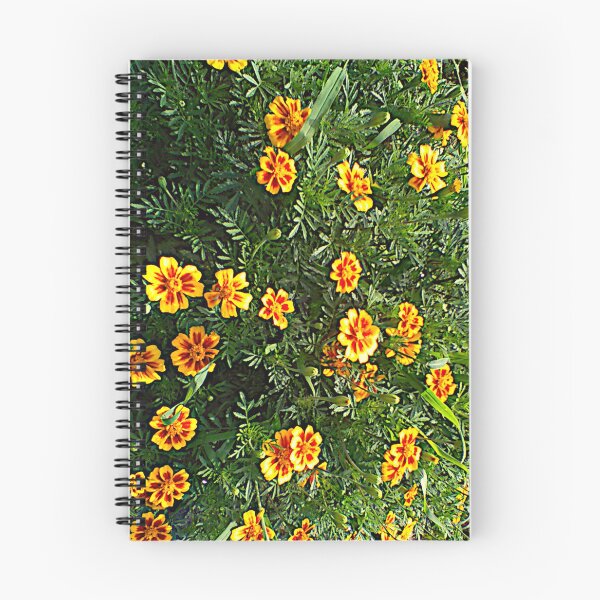 Item preview, Melodic Marigolds ~  designed and sold by Jeanine King.