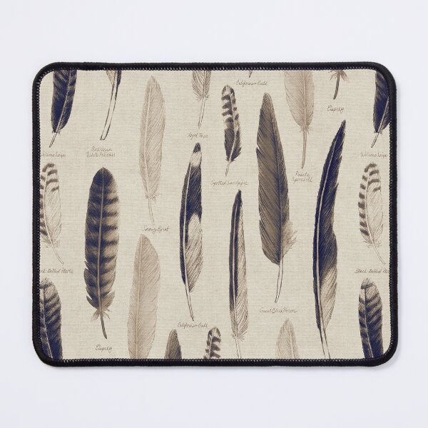 Item preview, Coastal Feathers / Naturalist Illustration Featuring Seashore Birds designed and sold by somecallmebeth.