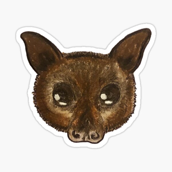 Item preview, Red Flying Fox Fledermaus Zeichnung. designed and sold by BabyBats.