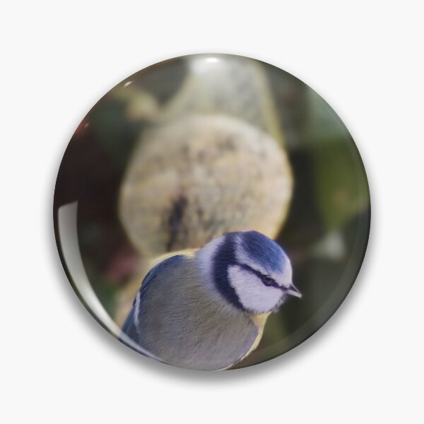 Item preview, Blue Tit on Bird Feeder – Garden Wildlife Photography designed and sold by Sarah – Fine Art & Photography.