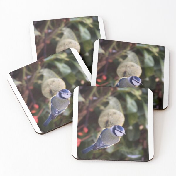 Item preview, Blue Tit on Bird Feeder – Garden Wildlife Photography designed and sold by Sarah – Fine Art & Photography.