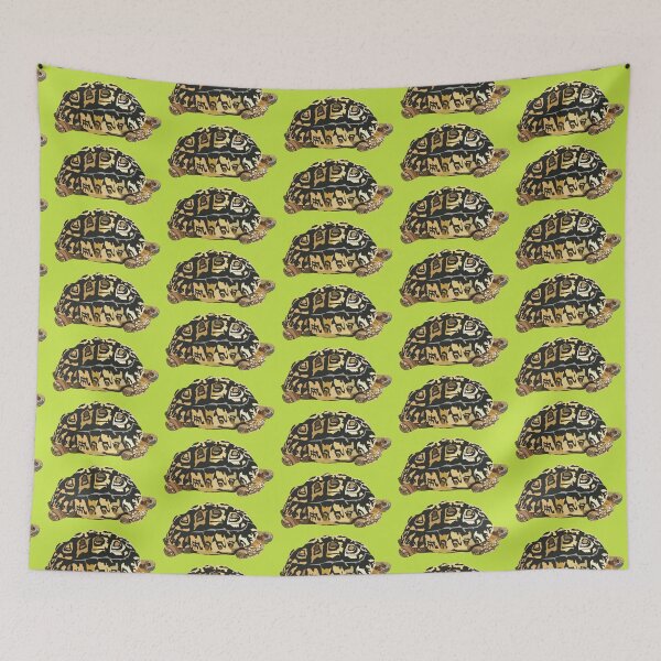 Item preview, L is for Leopard Tortoise,Leopard Tortoise Illustration – Unique Reptile Artwork designed and sold by PrettylittlepastelUk.