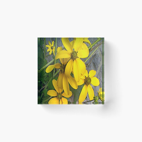 Item preview, Brown-Eyed Susans ~  designed and sold by Jeanine King.