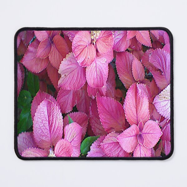 Item preview, Light Tipped Pinks  ~ designed and sold by Jeanine King.