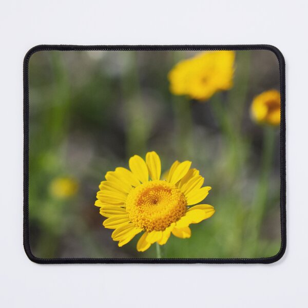 Item preview, Mellow Yellows designed and sold by Kasia Design.