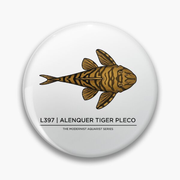 Item preview, L397 Alenquer Tiger Pleco Panaqolus designed and sold by guynagdai.