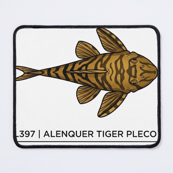 Item preview, L397 Alenquer Tiger Pleco Panaqolus designed and sold by guynagdai.