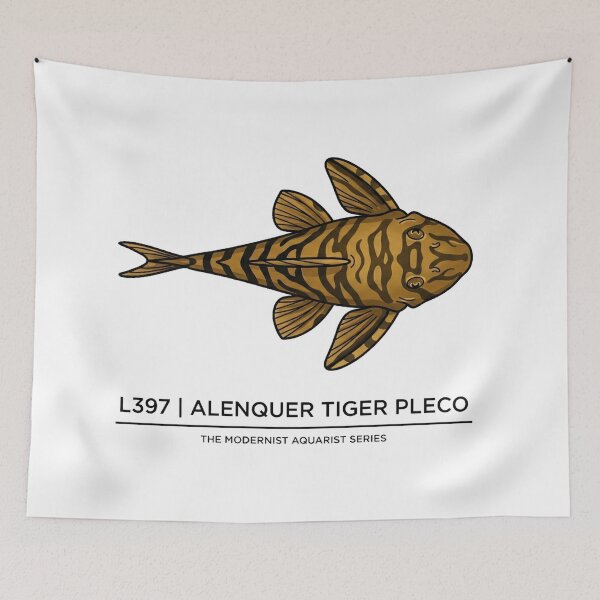 Item preview, L397 Alenquer Tiger Pleco Panaqolus designed and sold by guynagdai.