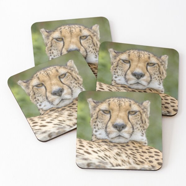 Item preview, A cheetah watches designed and sold by Luke Foster.