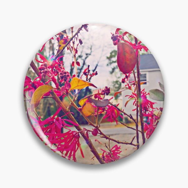 Item preview, Casa Abuelita designed and sold by Sushi's Glimpses.