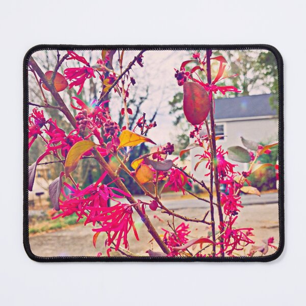 Item preview, Casa Abuelita designed and sold by Sushi's Glimpses.
