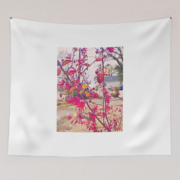 Item preview, Casa Abuelita designed and sold by Sushi's Glimpses.