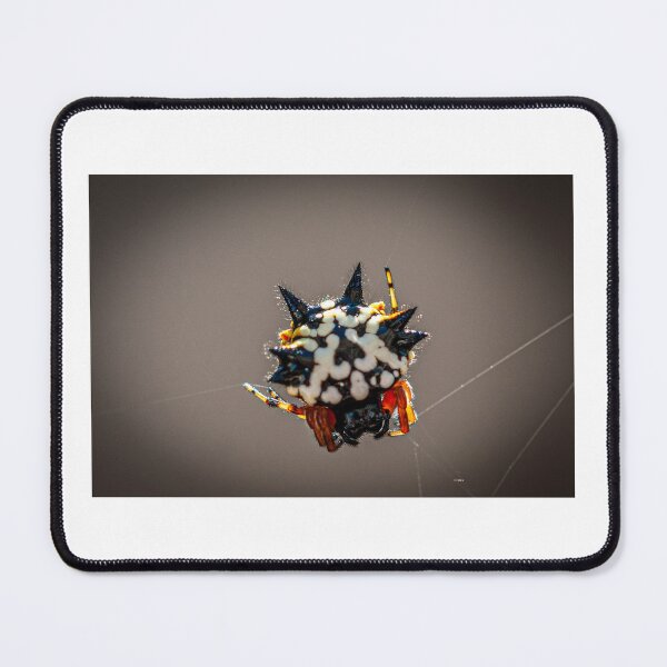 Item preview, Australian Jewel Spider  designed and sold by D-GaP.